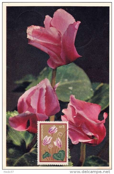 GRECE Carte Maximum - Cyclamen - Cartes-maximum (CM)