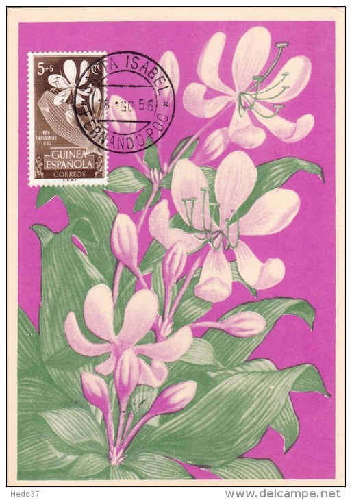 GUINEE ESPAGNOLE Carte Maximum - Crinum Giganteum - Guinée Espagnole