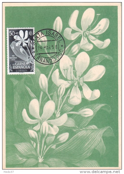 GUINEE ESPAGNOLE Carte Maximum - Crinum Giganteum - Guinée Espagnole