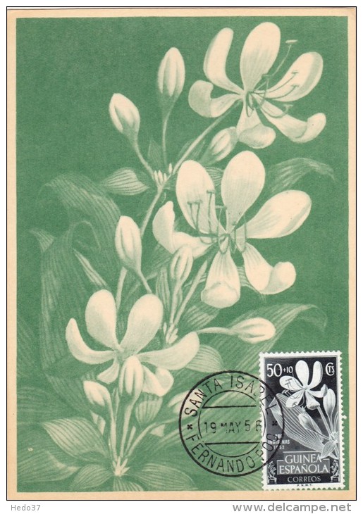 GUINEE ESPAGNOLE Carte Maximum - Crinum Giganteum - Guinée Espagnole