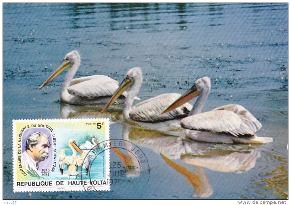 HAUTE-VOLTA Carte Maximum - Pelecanus Onocrotalus - Andere & Zonder Classificatie