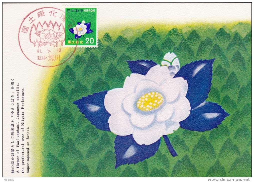 JAPON Carte Maximum - Fleur De Camélia - Maximum Cards