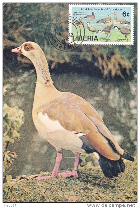 LIBERIA Carte Maximum - Canards, Oiseaux D'Eau - Liberia