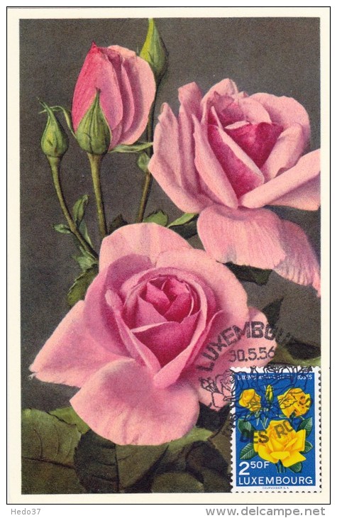 LUXEMBOURG Carte Maximum - Roses - Maximumkaarten