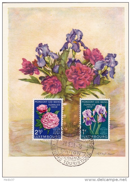 LUXEMBOURG Carte Maximum - Iris Et Pivoine - Maximum Cards