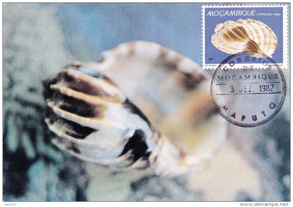 MOZAMBIQUE Carte Maximum - Harpa Major - Mozambique