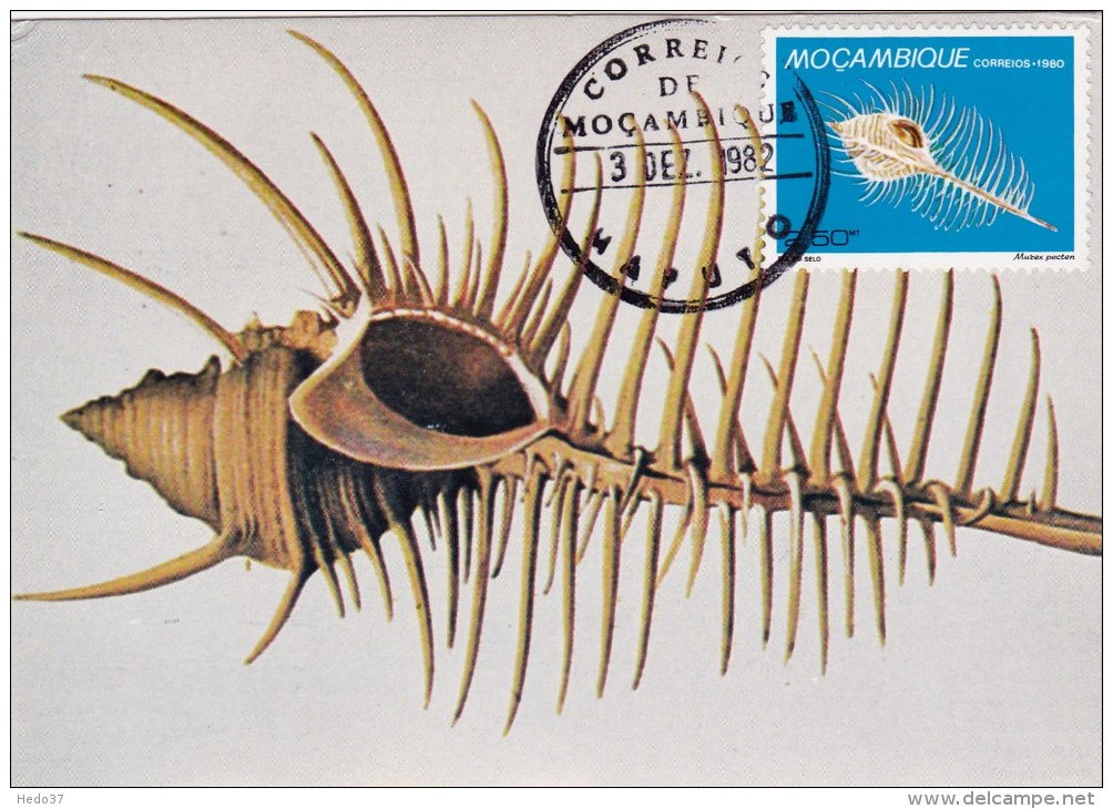 MOZAMBIQUE Carte Maximum - Murex Pecten - Mozambique