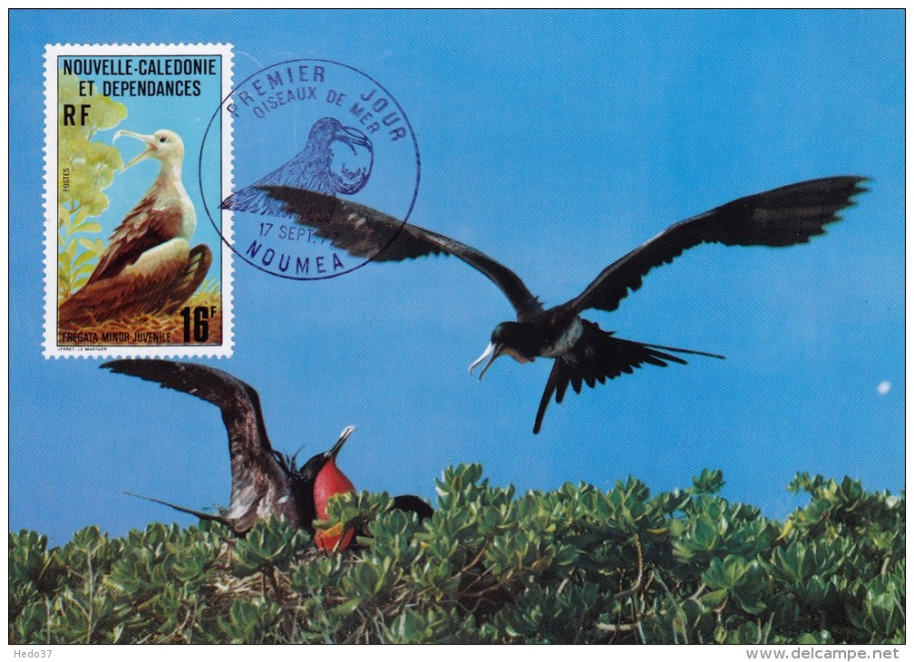 NOUVELLE-CALEDONIE Carte Maximum - Frégate Minor Juvenile - Tarjetas – Máxima