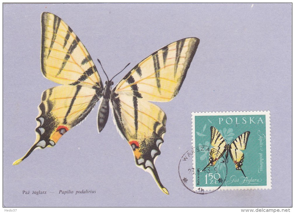 POLOGNE Carte Maximum - Papilio Podalirius - Tarjetas Máxima