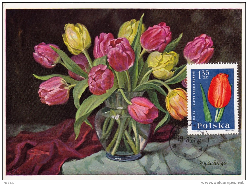 POLOGNE Carte Maximum - Tulipe - Maximum Cards