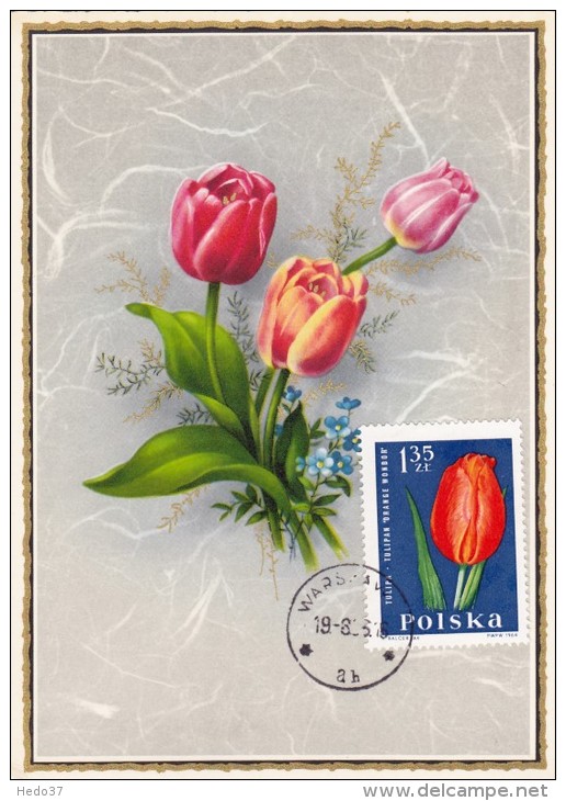 POLOGNE Carte Maximum - Tulipe - Tarjetas Máxima