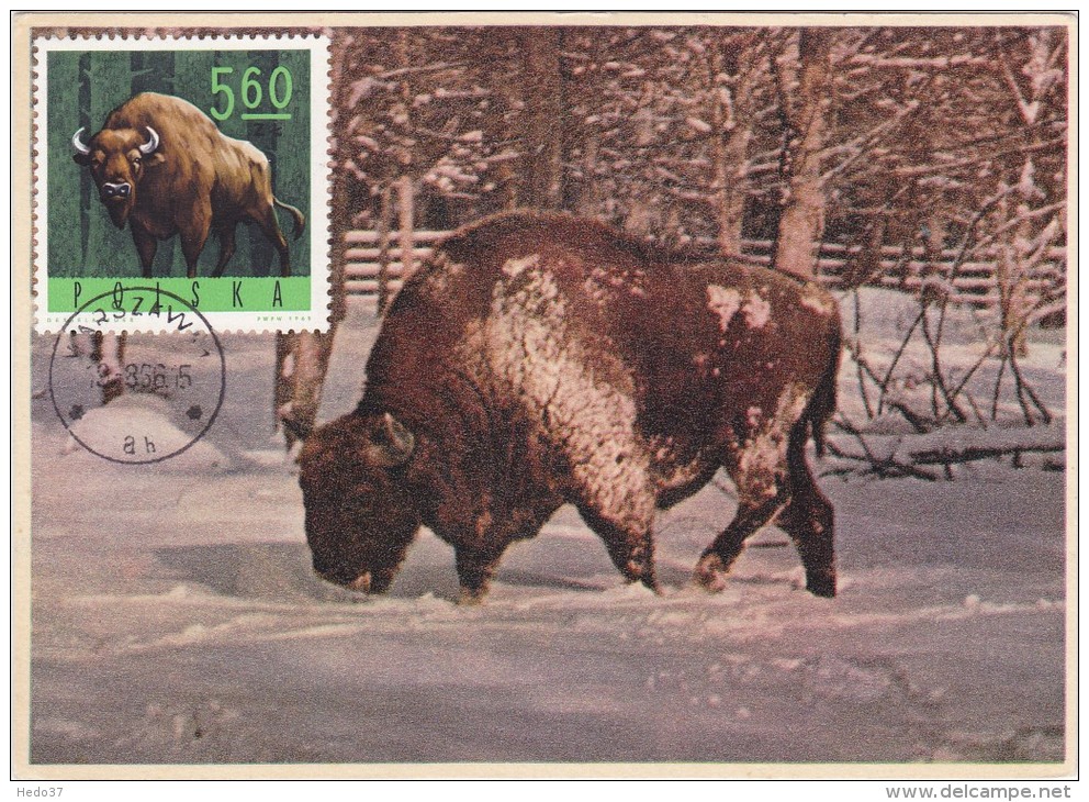 POLOGNE Carte Maximum - Bisons D'Europe - Maximumkaarten