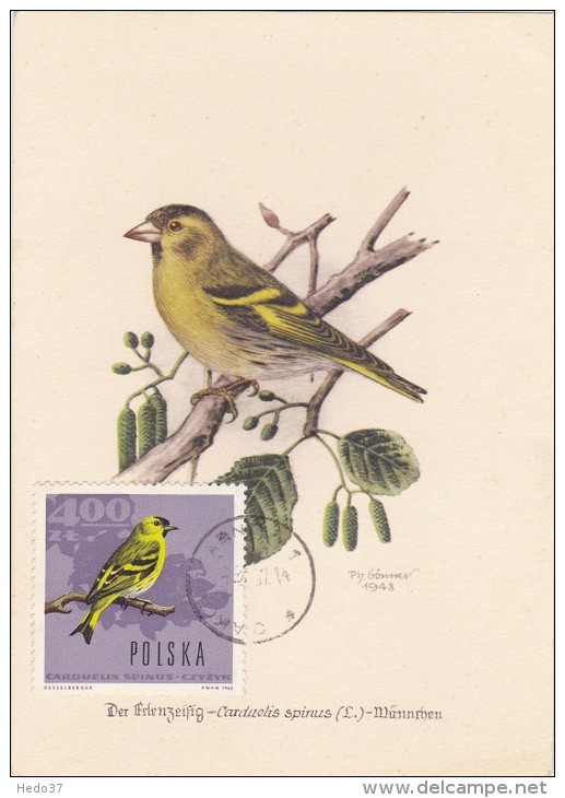 POLOGNE Carte Maximum - Serin - Tarjetas Máxima