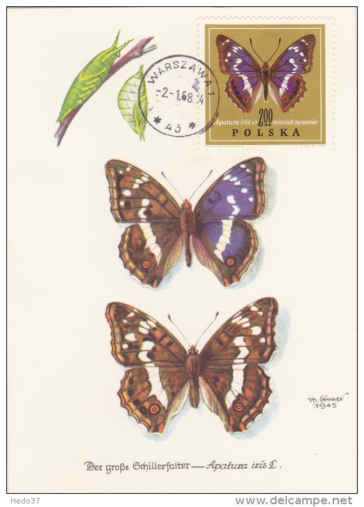 POLOGNE Carte Maximum - Apatura Iris - Maximumkaarten