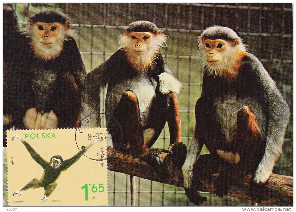 POLOGNE Carte Maximum - Gibbon - Cartes Maximum