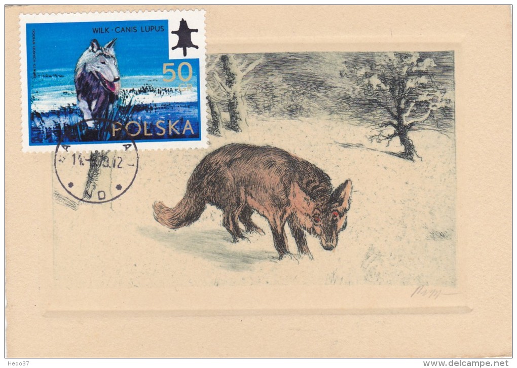 POLOGNE Carte Maximum - Loup - Tarjetas Máxima