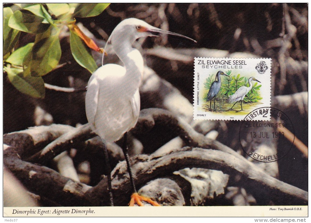 SEYCHELLES ELOIGNEES Carte Maximum - Egretta Sacra - Seychelles (1976-...)