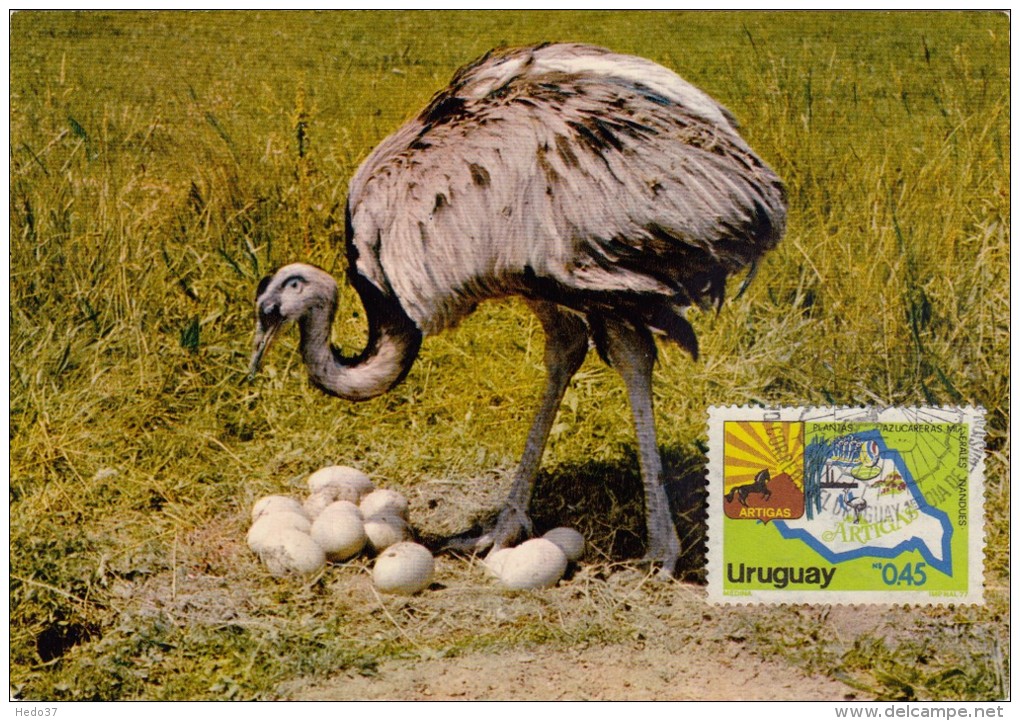 URUGUAY Carte Maximum - Artigas - Uruguay