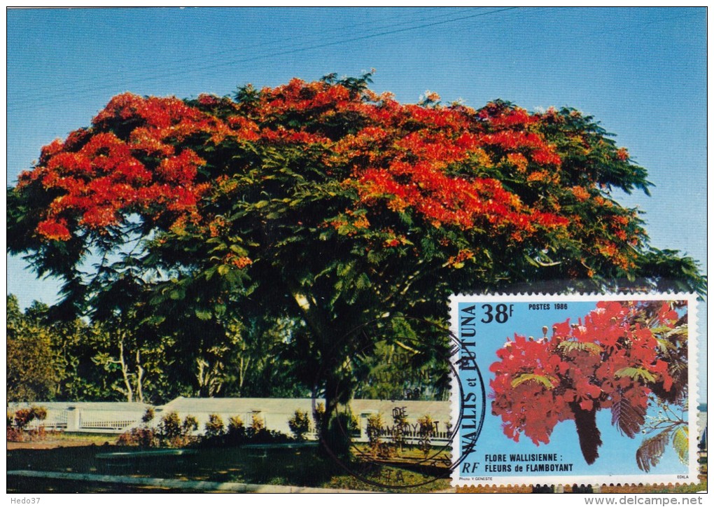 WALLIS &amp; FUTUNA Carte Maximum - Le Flamboyant - Cartes-maximum