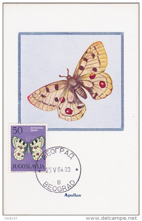 YOUGOSLAVIE Carte Maximum - Parnassius Apollo - Cartes-maximum