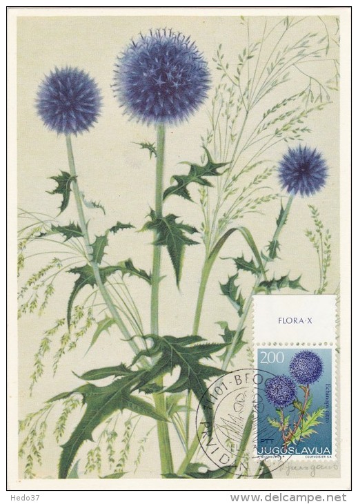 YOUGOSLAVIE Carte Maximum - Echinops Ritro - Maximumkaarten