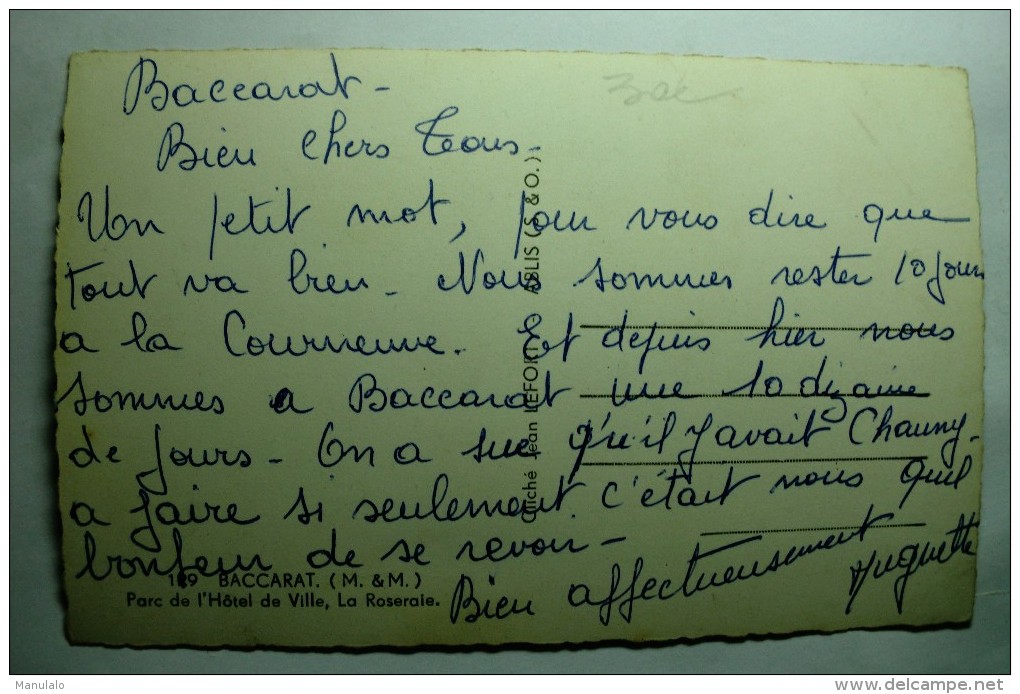 D 54 - Baccarat - Parc De L'hôtel De Ville, La Roseraie - Baccarat