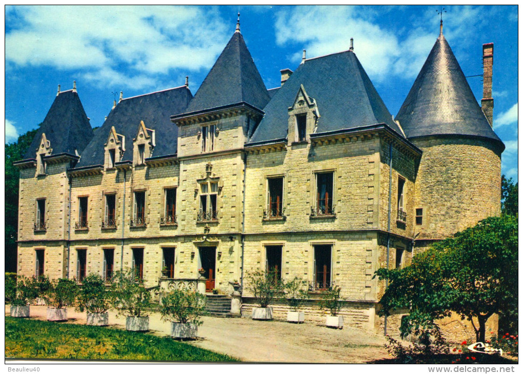 MAUZÉ SUR LE MIGNON-LE CHATEAU - Mauze Sur Le Mignon