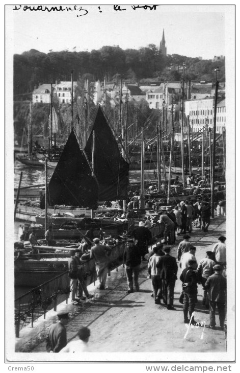 29 - DOUARNENEZ - LE PORT - Douarnenez