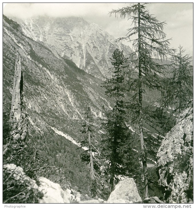 Italie Tyrol Du Sud Alpes Montagne Fischleintal Ancienne Photo Stereoscope NPG 1900 - Photos Stéréoscopiques