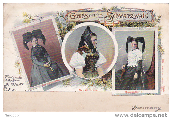 Germany 1905 Gruss Aus Dem Schwarzwald - Wereld