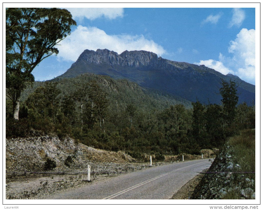 (463) Australia - TAS - Mt Murchison - Wilderness