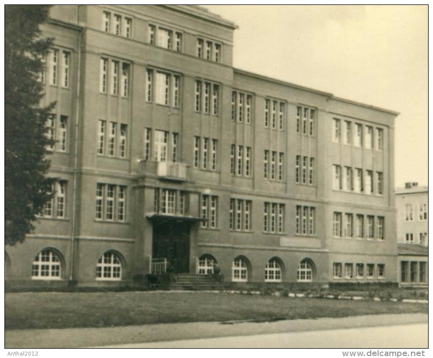 Rarität Köthen Anhalt MB Ingenieurschule Chemie Fuhrwerk Ernst-Thälmann-Straße 1958 - Koethen (Anhalt)