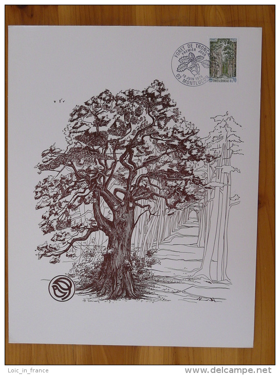 Gravure De Sainson Forêt De Tronçais Montluçon Allier 1976 (21x27cm) - Trees