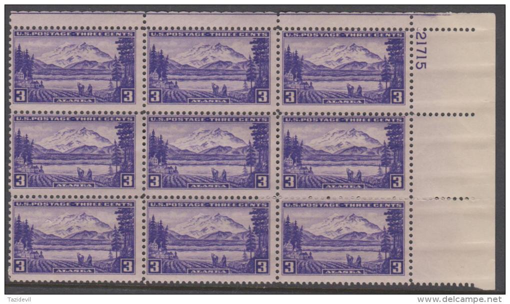 USA - 1937 Mt McKinley  Plate Block Of Nine. Scott 800. MNH ** - Numéros De Planches