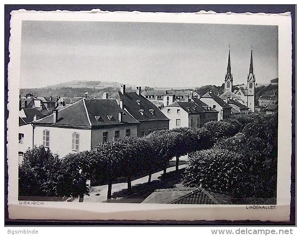 Alte Karte  "DIEKIRCH - Lindenallee" - Diekirch