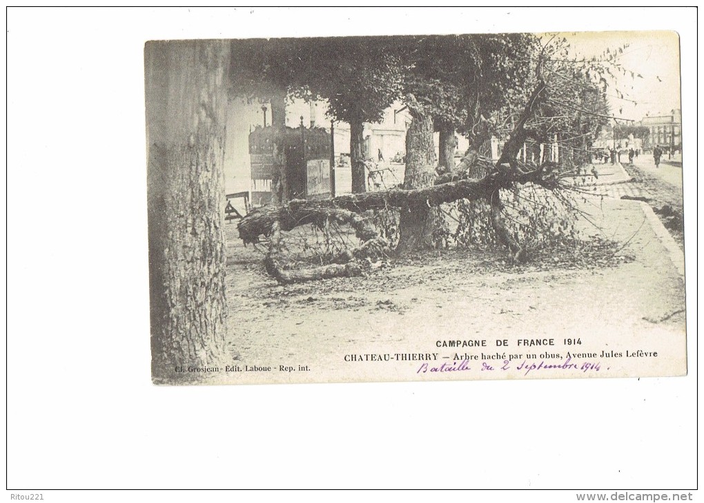 CHATEAU THIERRY - 02 -ARBRE HACHE PAR UN OBUS - AVENUE JULES LEFEVRE - GUERRE 1914 -1918 - Árboles