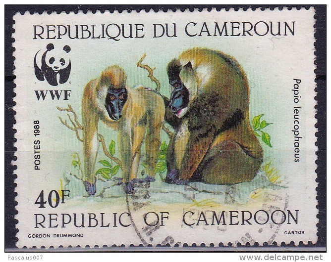 WWF - Timbre Oblitéré - République Du Cameroun 40F - Used Stamps