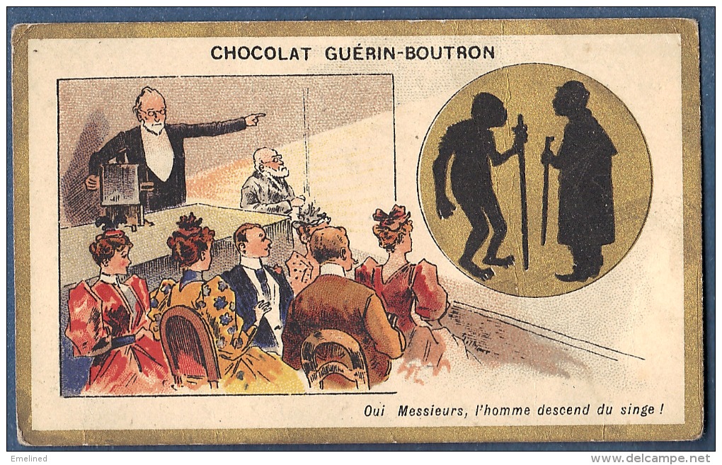 Chromo Doré Or Chocolat Guérin Boutron Homme Descend Du Singe Lanterne Magique Humour Litho Champenois - Guerin Boutron