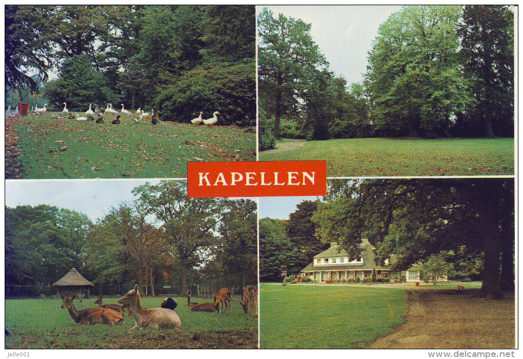 Kapellen Park (meerzicht) - Kapellen