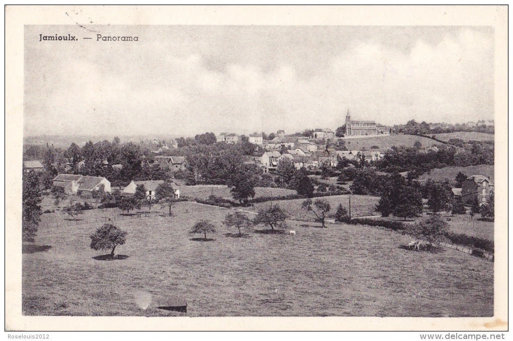 JAMIOULX : Panorama - Ham-sur-Heure-Nalinnes