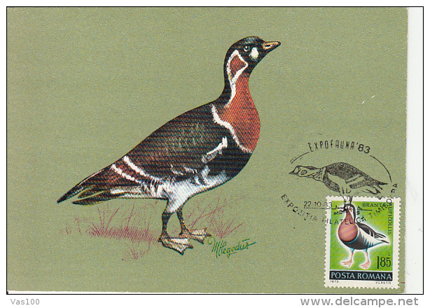 BIRDS, RED BREASTED GOOSE, CM, MAXICARD, CARTES MAXIMUM, 1983, ROMANIA - Ganzen