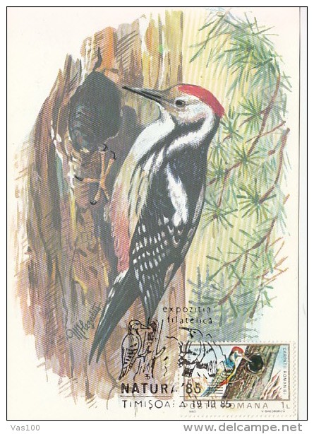 BIRDS, MIDDLE SPOTTED WOODPECKER, CM, MAXICARD, CARTES MAXIMUM, 1985, ROMANIA - Piciformes (pájaros Carpinteros)