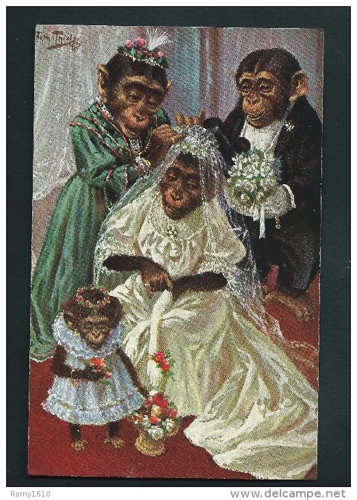 A. Thiele.  Singes Umanisés.  On Habille La Mariée.  T.S.N. Série 844.   Voyagée.    2 Scans. - Thiele, Arthur