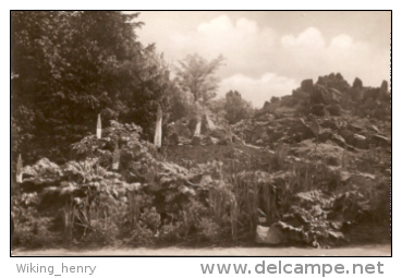 Berlin Dahlem - S/w Botanischer Garten 3   Himalaya Gruppe - Dahlem