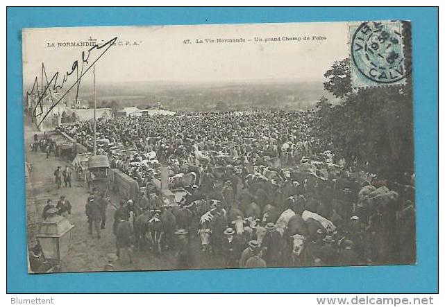 CPA 47 - LA VIE NORMANDE Marché Aux Bestiaux Grand Champ De Foire - Vire