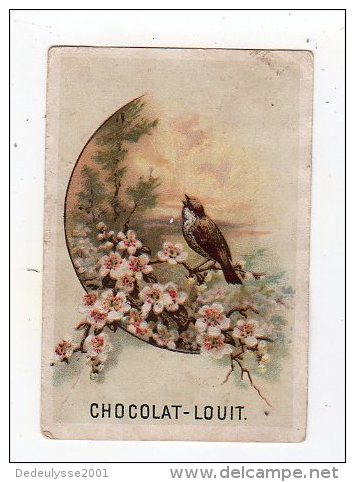 Sept15   70568    Chocolat   Louit - Louit