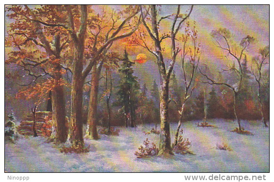 Germany 1910 Artist, Unknown, Winter Panorama - World