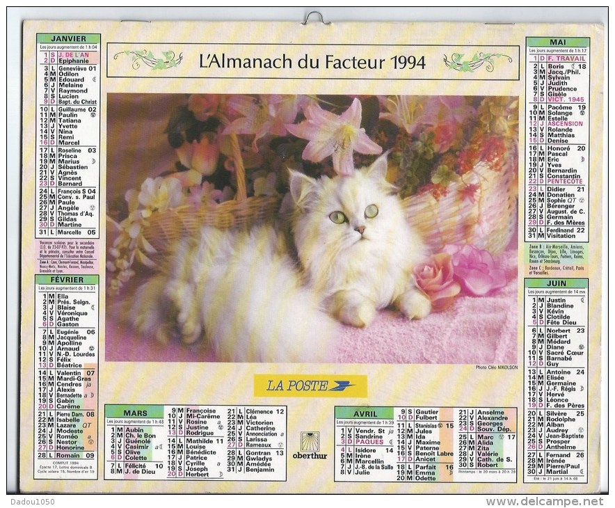 Calendrier Des Postes 1994 69 RHONE - Big : 1991-00