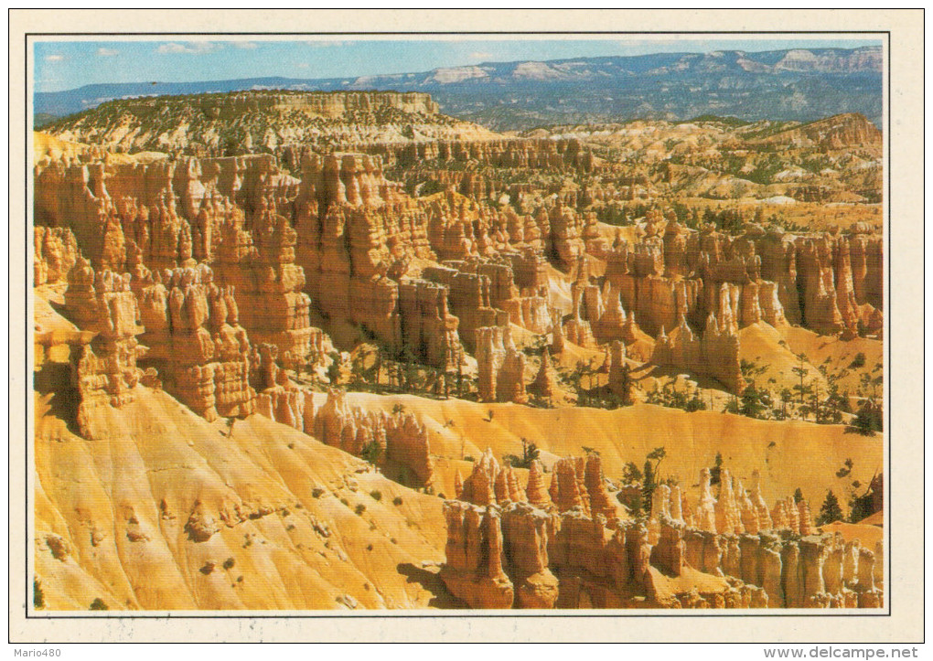 UTAH:   BRYCE  CANYON       (NUOVA CON DESCRIZIONE DEL SITO SUL RETRO) - Bryce Canyon