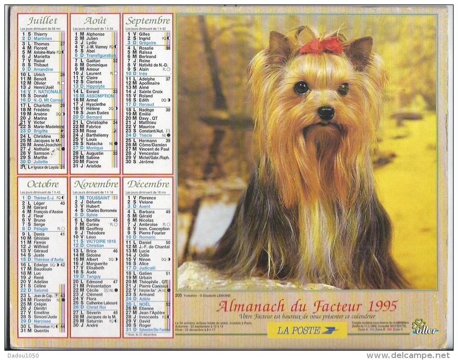 Calendrier Des Postes 1995  69 Rhone - Formato Grande : 1991-00